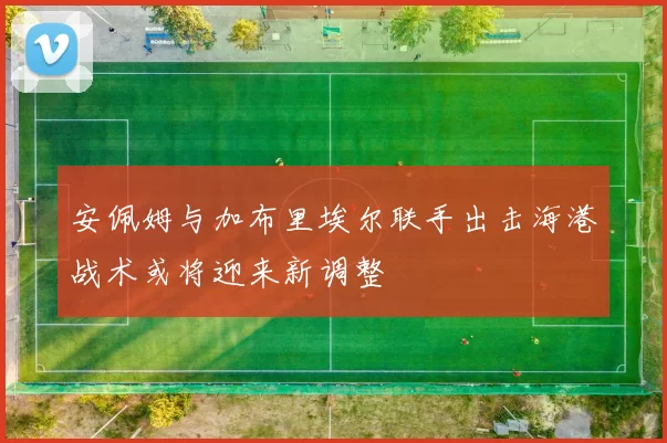 安佩姆与加布里埃尔联手出击海港战术或将迎来新调整